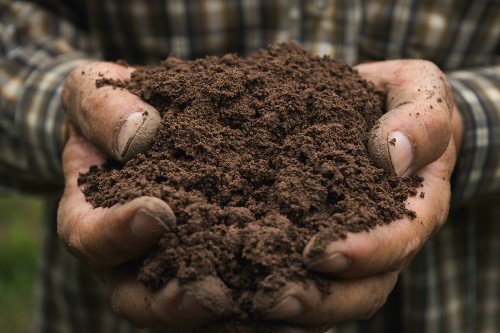 man holding soil